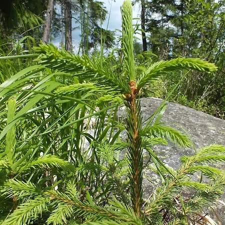 דירה Zuzana Štrbské Pleso