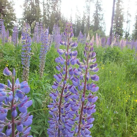 דירה Zuzana Štrbské Pleso