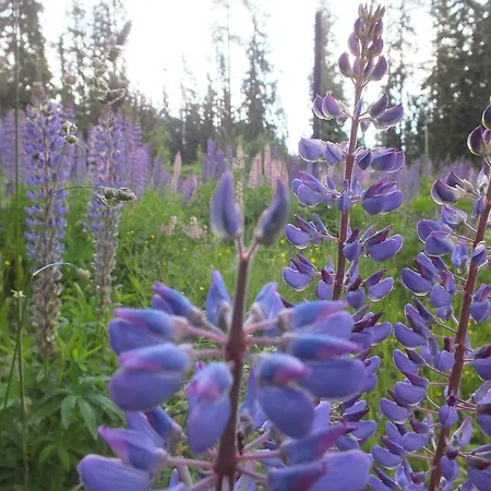 Zuzana Štrbské Pleso