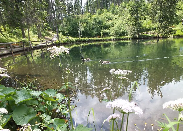 Zuzana * Štrbské Pleso