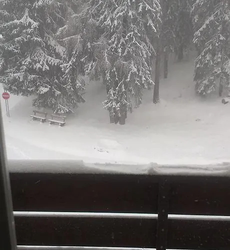 Zuzana * Štrbské Pleso